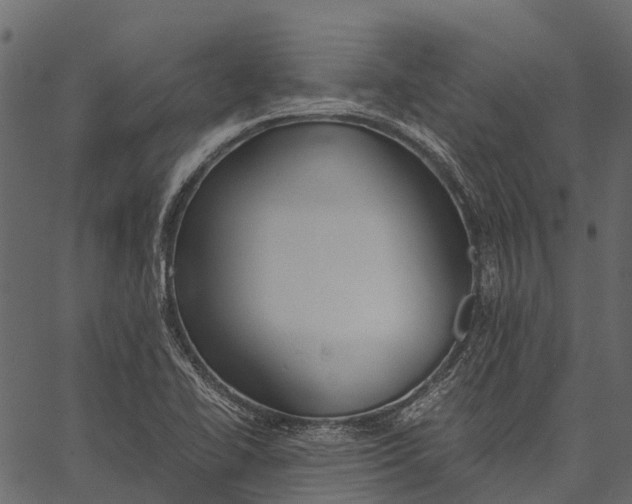 X0000062621414200601111022