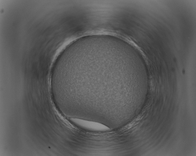 X0000062621416200601111022