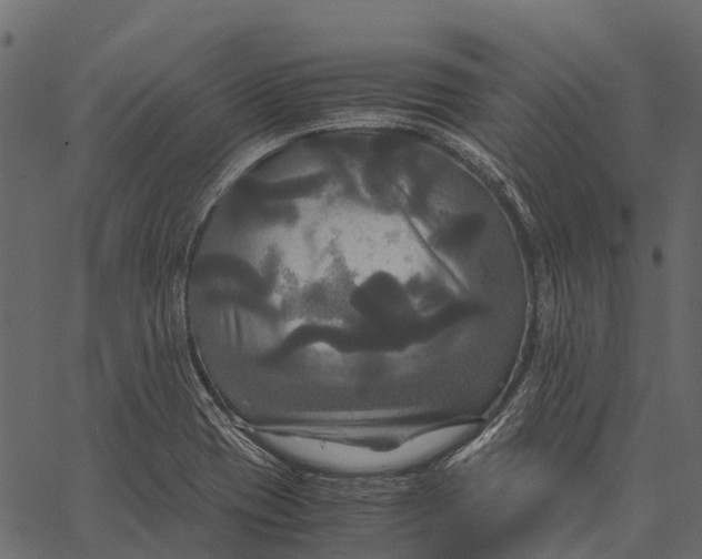 X0000062621417200601111022