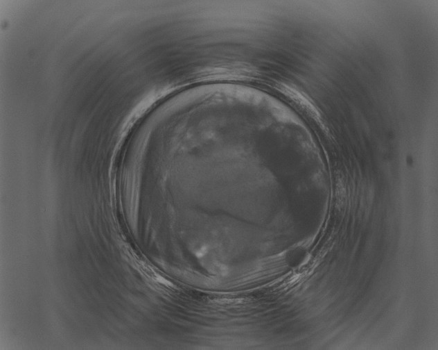 X0000062621419200601111022