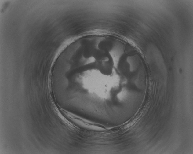 X0000062621421200601111022