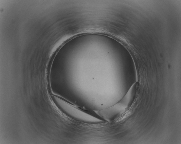 X0000062621422200601111022