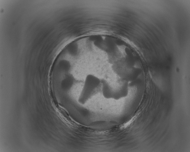 X0000062621423200601111022