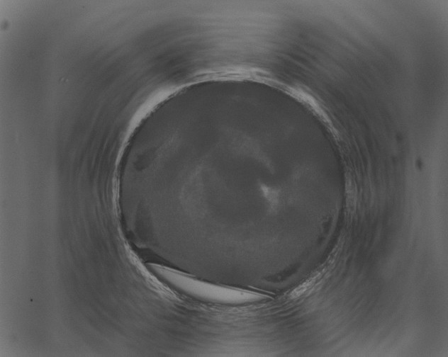 X0000062621424200601111022