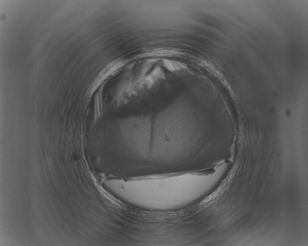 X0000062621425200601111023