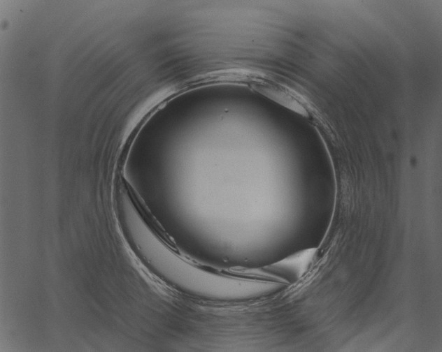 X0000062621426200601111023