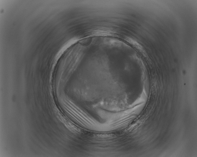 X0000062621427200601111023