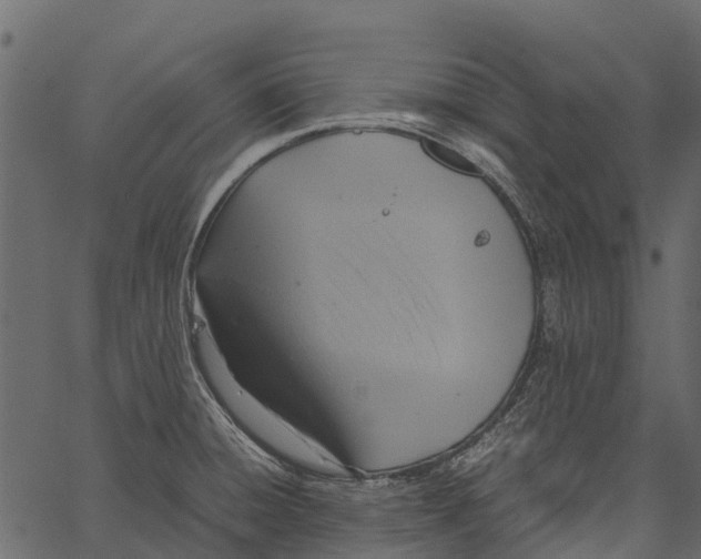 X0000062621428200601111023