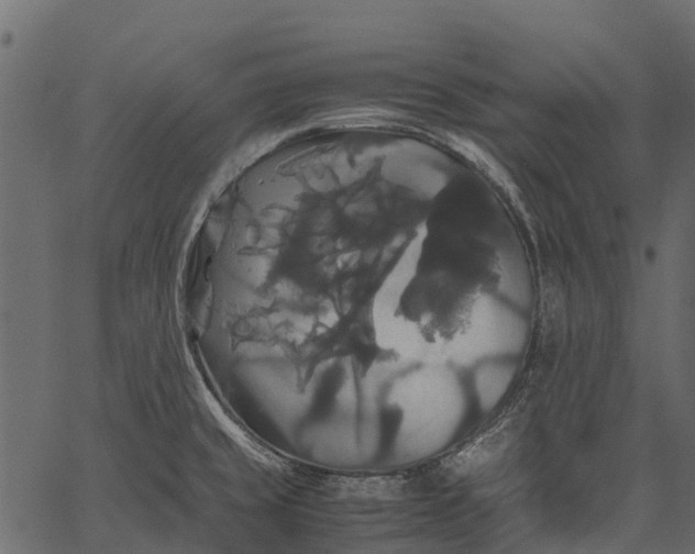 X0000062621429200601111023