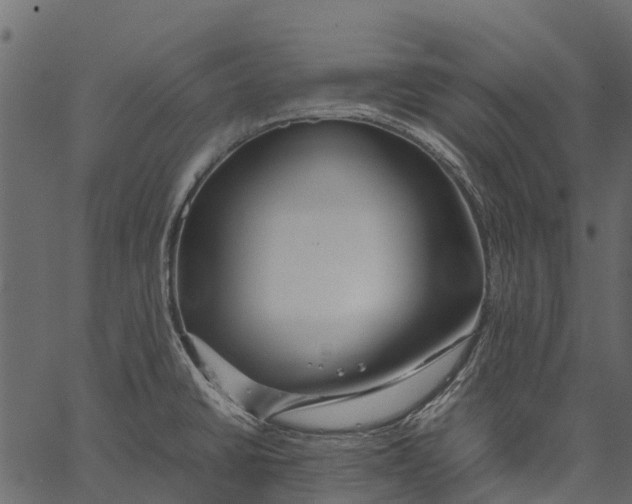 X0000062621430200601111023