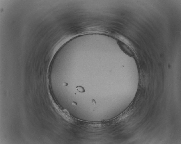 X0000062621431200601111023