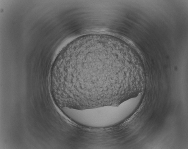 X0000062621432200601111023