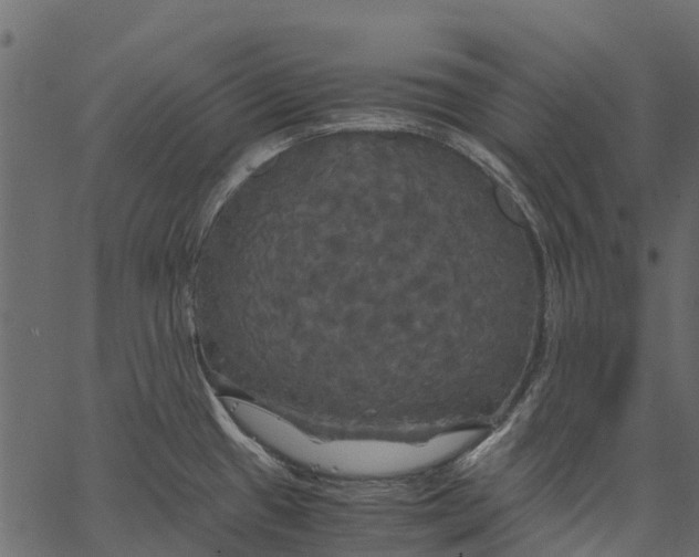 X0000062621433200601111023