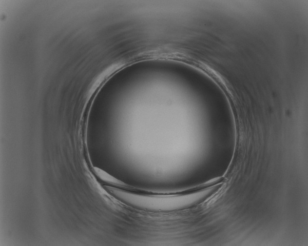 X0000062621434200601111023