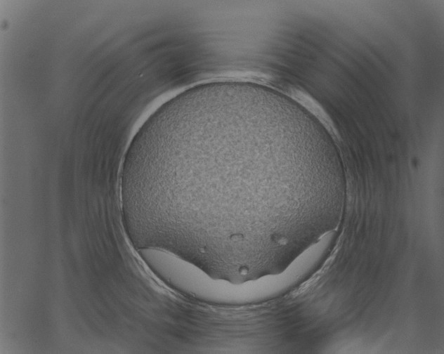 X0000062621436200601111023