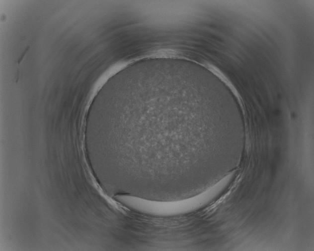 X0000062621437200601111023