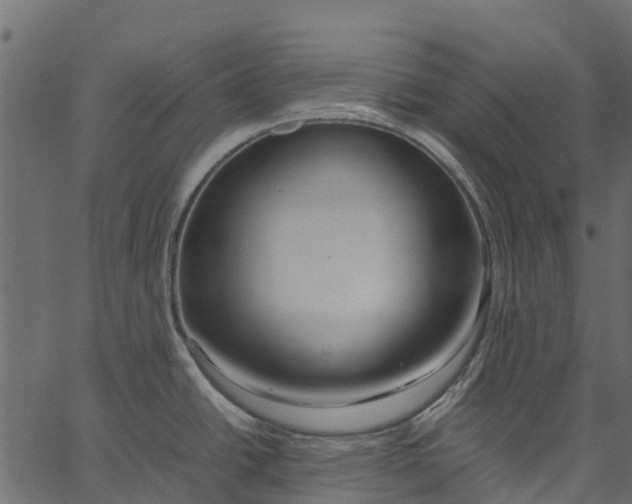 X0000062621438200601111023