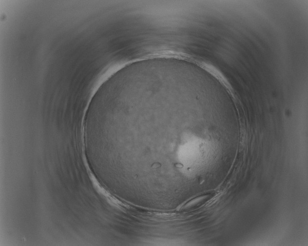 X0000062621439200601111023