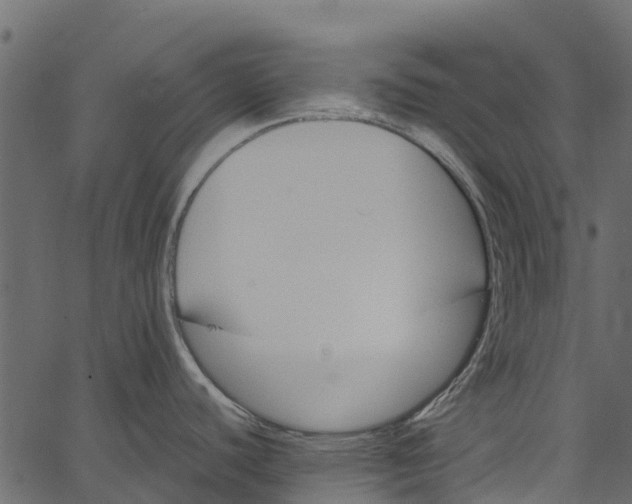 X0000062621440200601111023