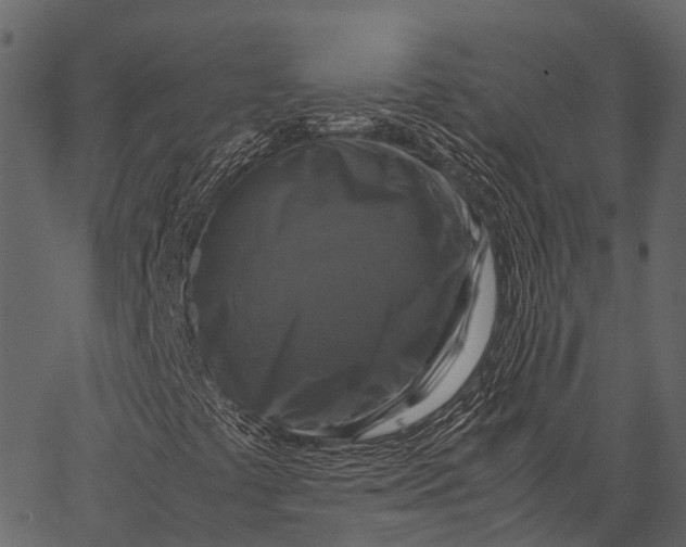 X0000062621441200601111022