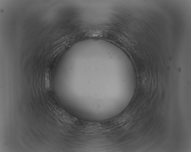 X0000062621442200601111022