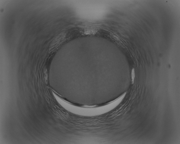 X0000062621443200601111022