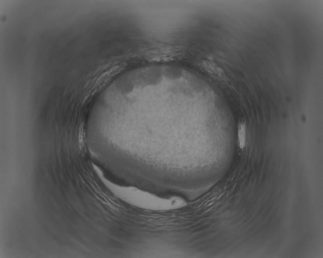 X0000062621444200601111022