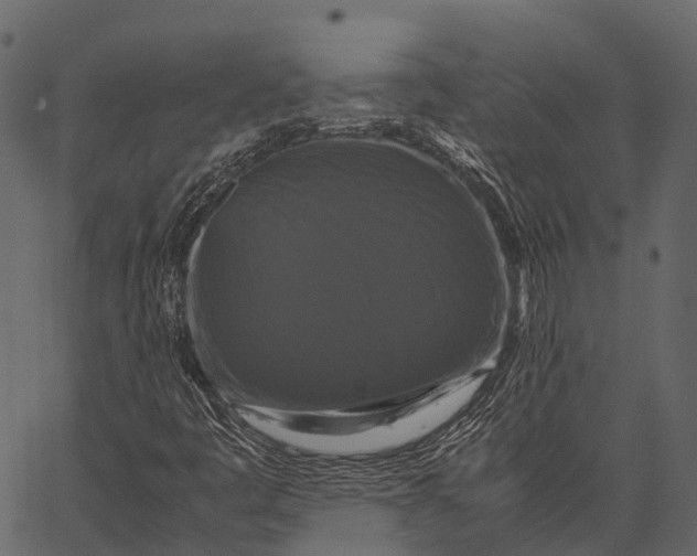 X0000062621445200601111022