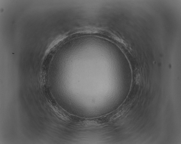 X0000062621448200601111022