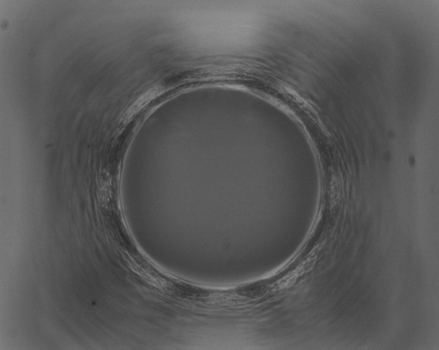 X0000062621449200601111022