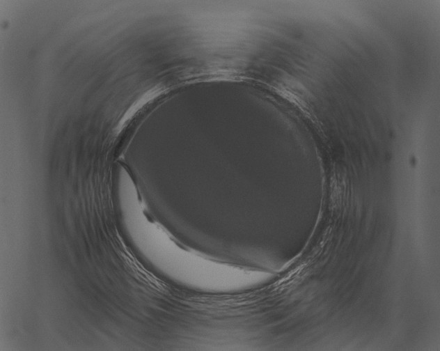 X0000062621450200601111022