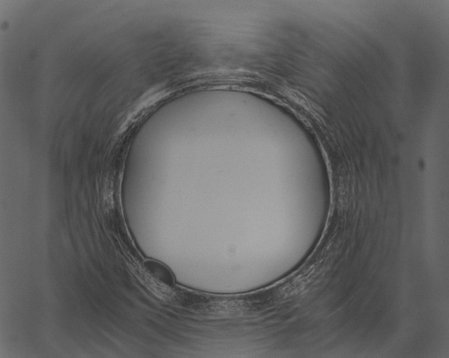 X0000062621451200601111022