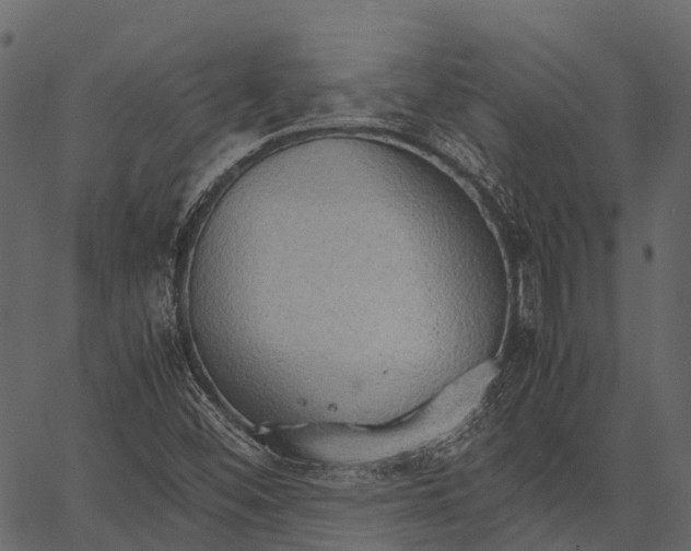 X0000062621452200601111022