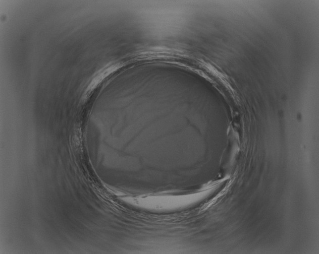 X0000062621453200601111022