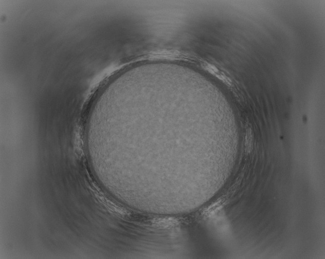 X0000062621454200601111022