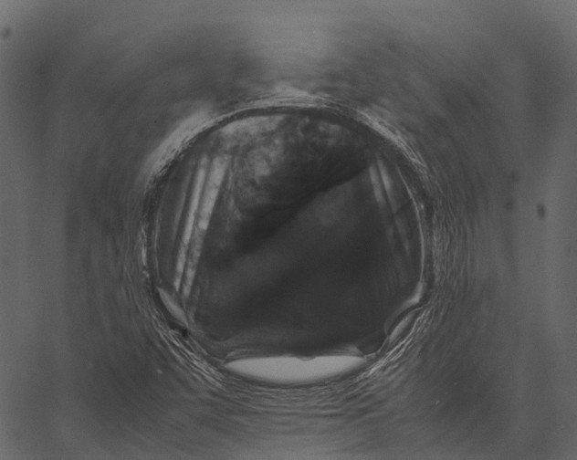 X0000062621455200601111022