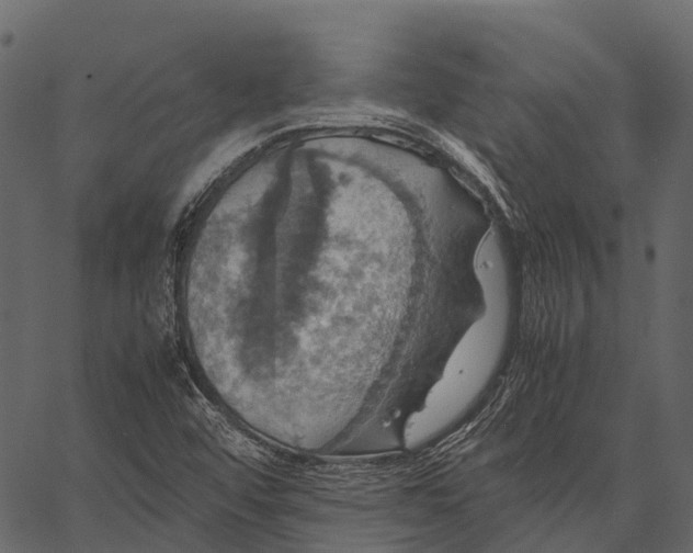 X0000062621456200601111022