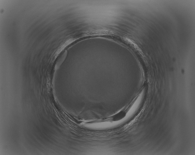 X0000062621457200601111022