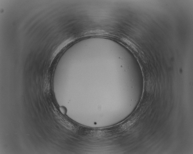 X0000062621458200601111022