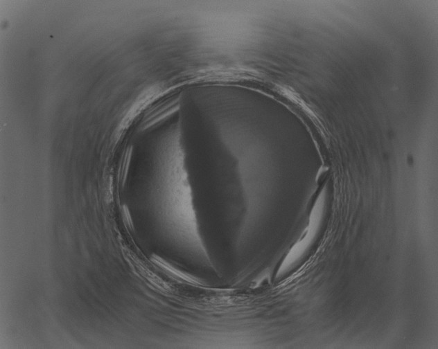 X0000062621459200601111022