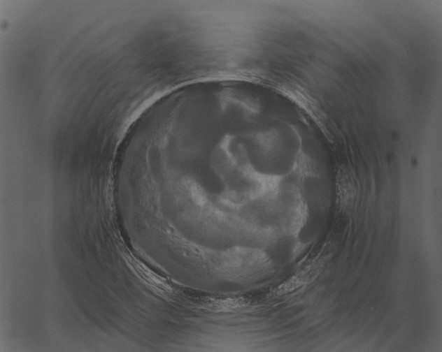 X0000062621460200601111022