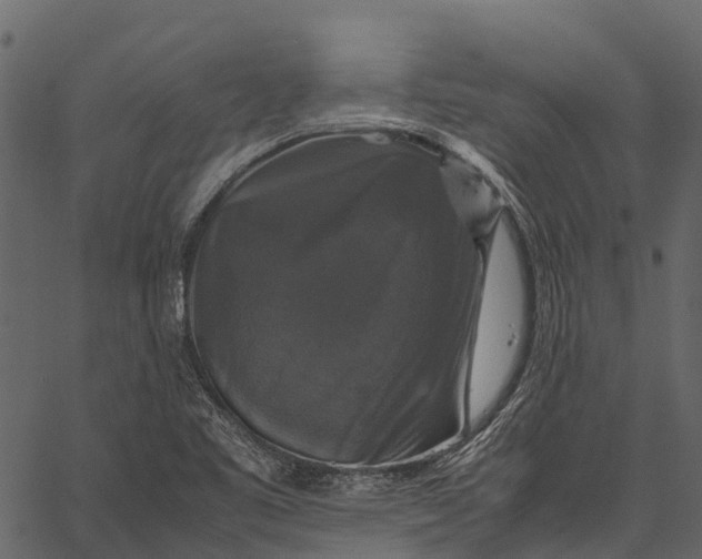 X0000062621461200601111022