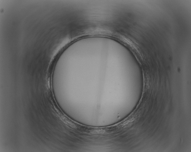 X0000062621462200601111022