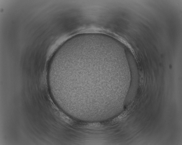 X0000062621464200601111022