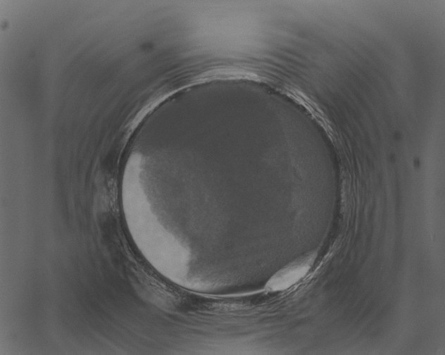 X0000062621465200601111022