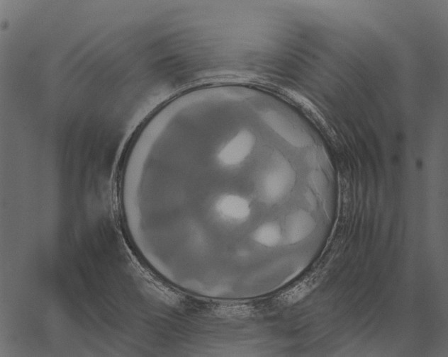 X0000062621466200601111022