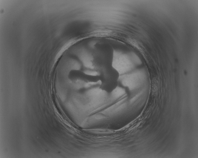 X0000062621467200601111022