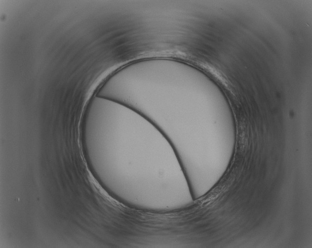 X0000062621468200601111022