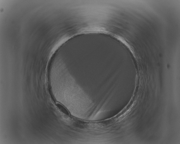 X0000062621469200601111021