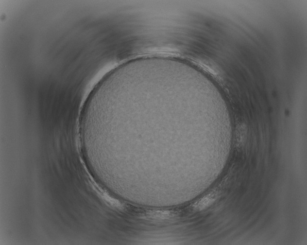 X0000062621470200601111021